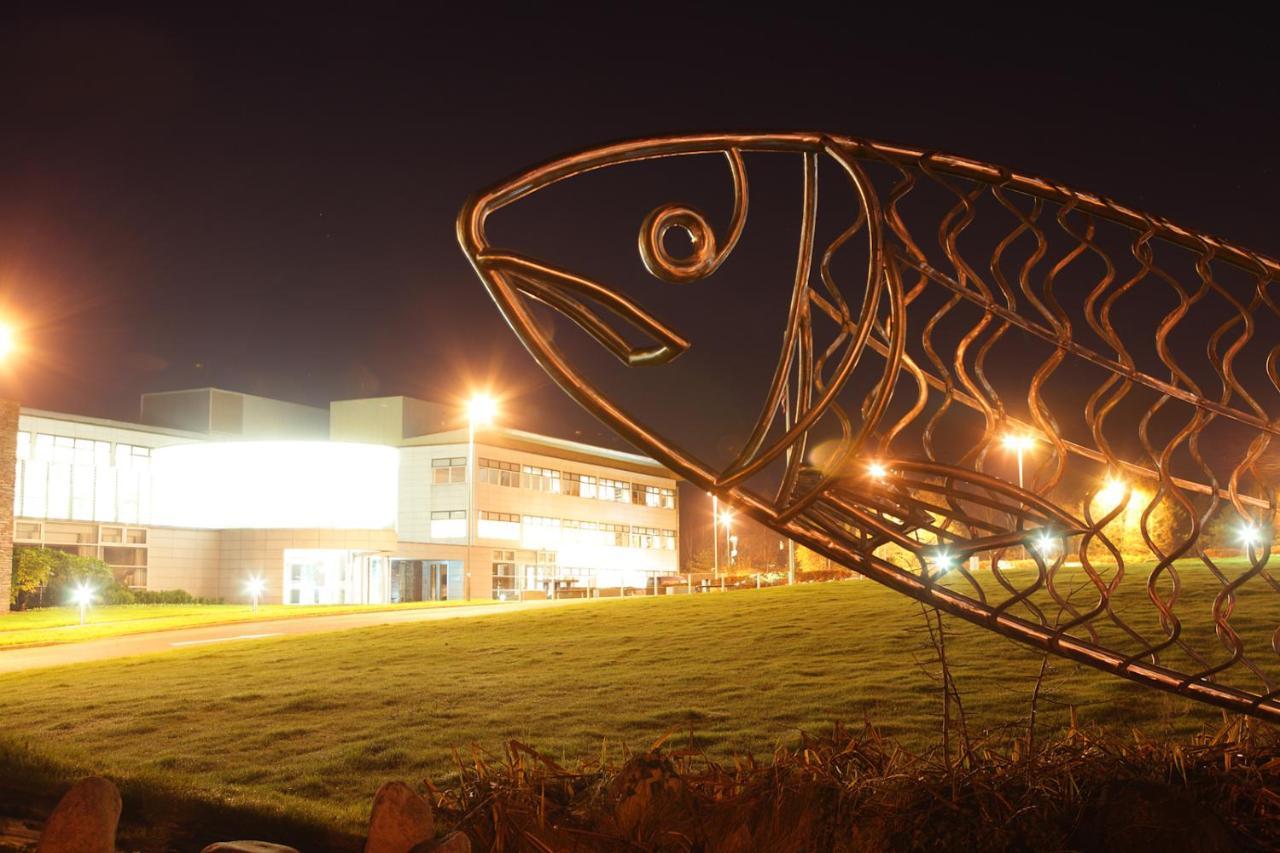 Causeway Holiday Homes Coleraine Kültér fotó